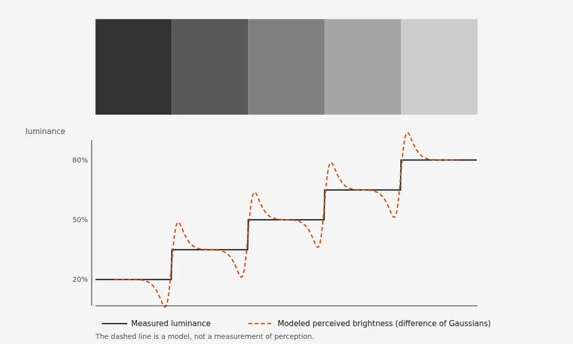 Five vertical gray bands of increasing brightness above a graph; the measured brightness is a staircase and the modeled perceived brightness overshoots and undershoots at every step