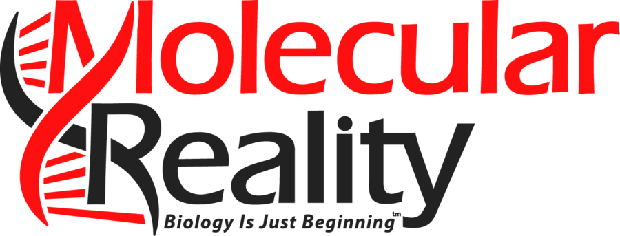 The words Molecular Reality with a double helix wrapped around the M and the R, above the line Biology Is Just Beginning