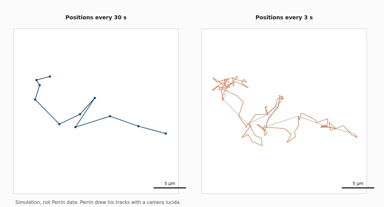 Two square panels of the same simulated random walk: positions joined every 30 steps, and the same walk sampled every 3 steps as a tangle over the ghosted coarse path